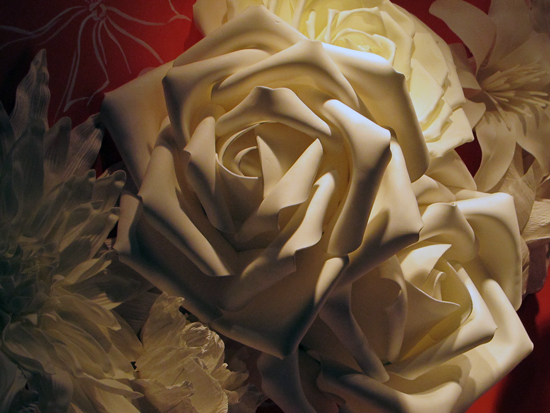 These are the best roses to order!