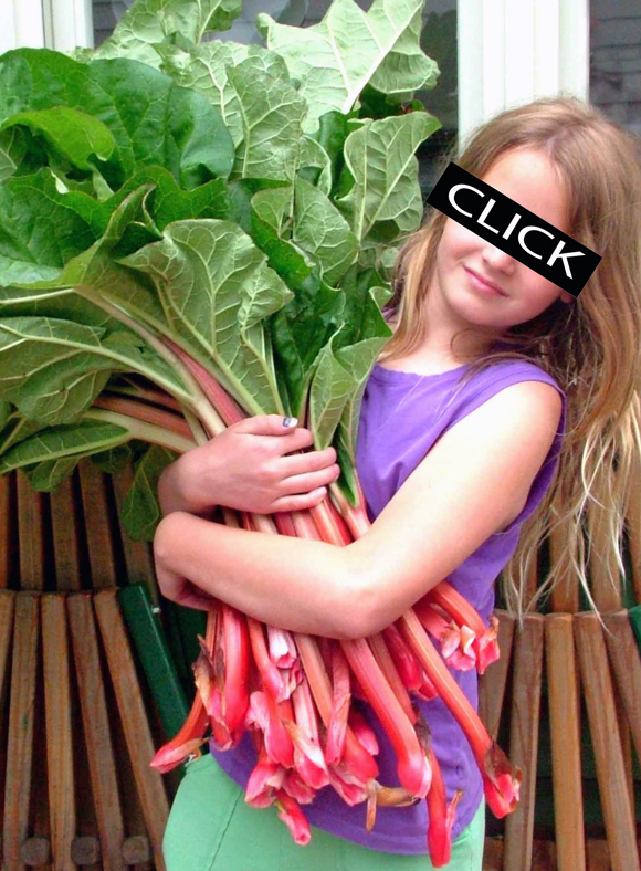 rhubarbBLOG