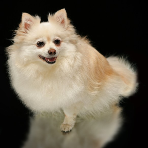 mirror work peepsBLOG1