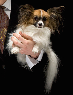 MARINO-louis2WEBSITE